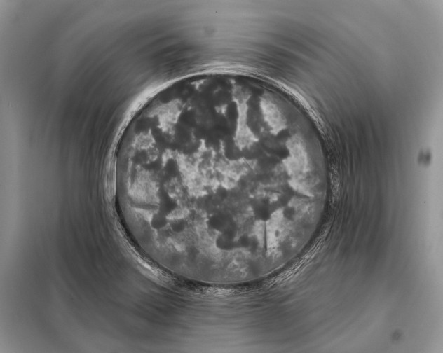 X0000097911371200804111101