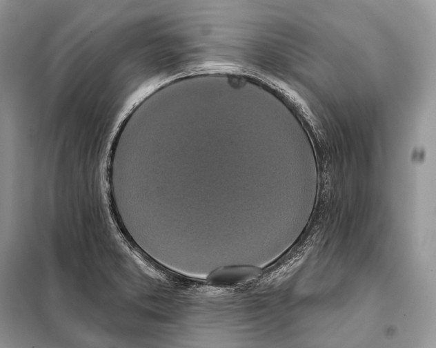 X0000097911373200804111100