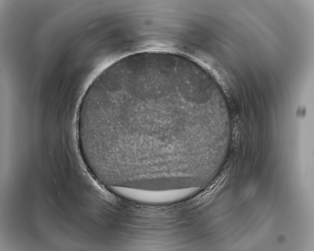 X0000097911375200804111100