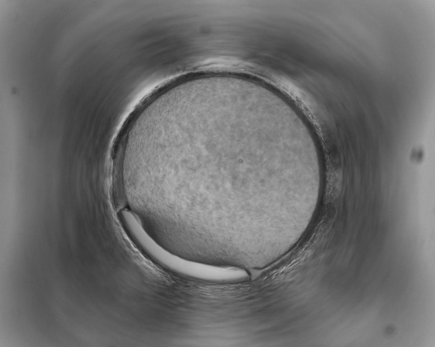 X0000097911376200804111100