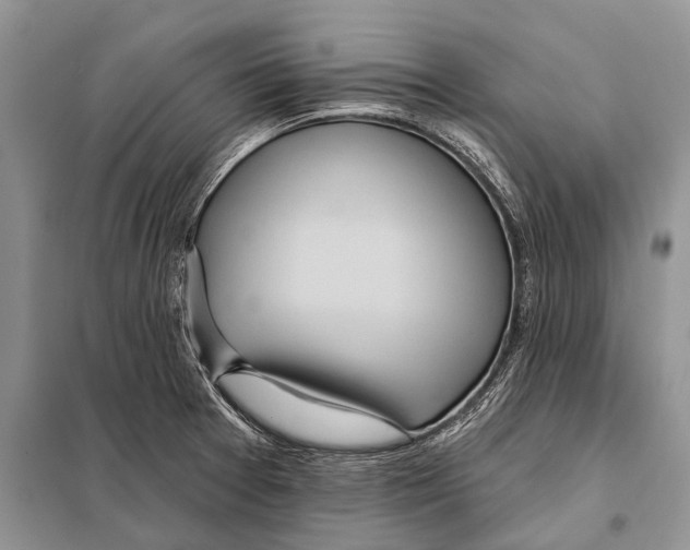 X0000097911377200804111100