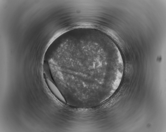 X0000097911378200804111100