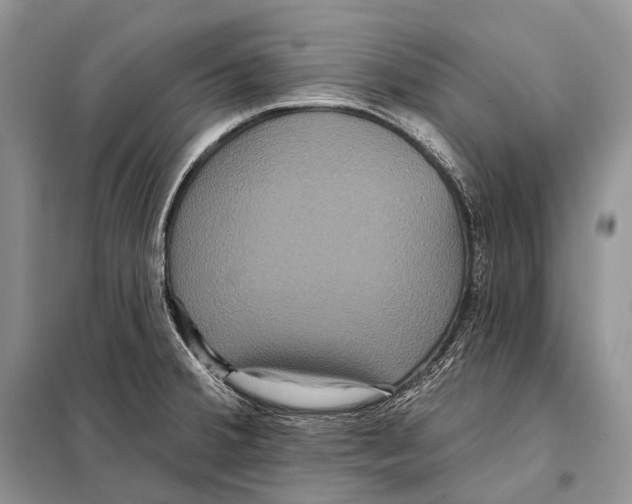 X0000097911380200804111100