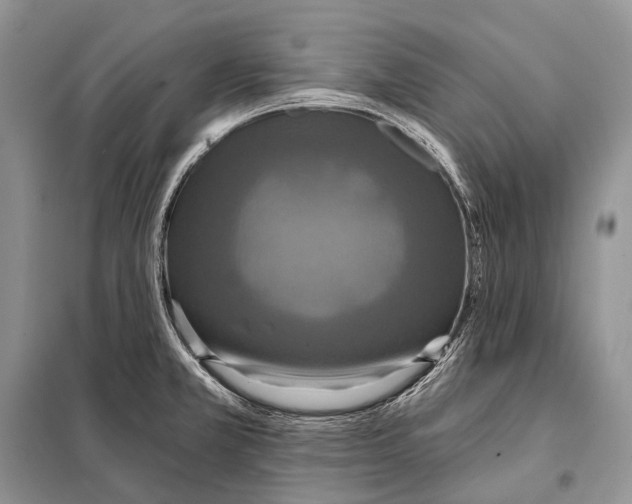 X0000097911381200804111100