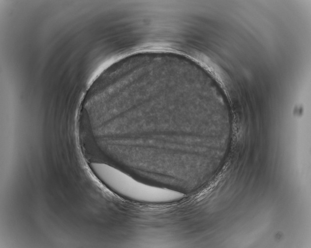 X0000097911382200804111100