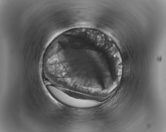 X0000097911383200804111100