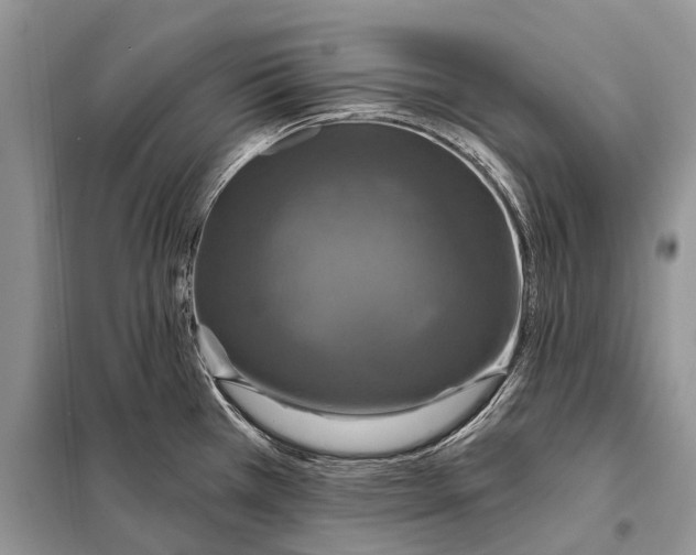 X0000097911385200804111100