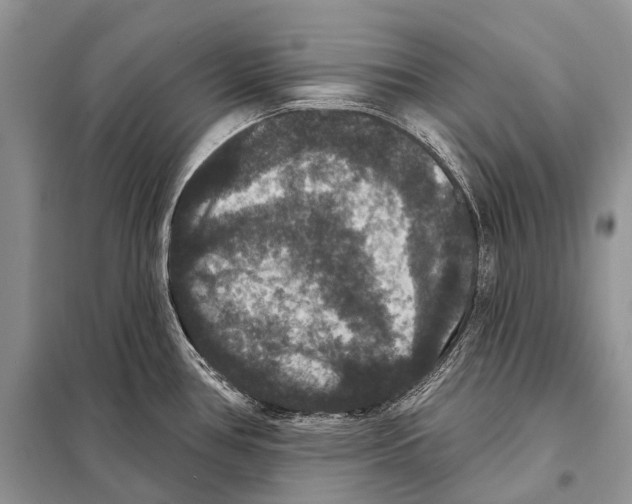 X0000097911386200804111100