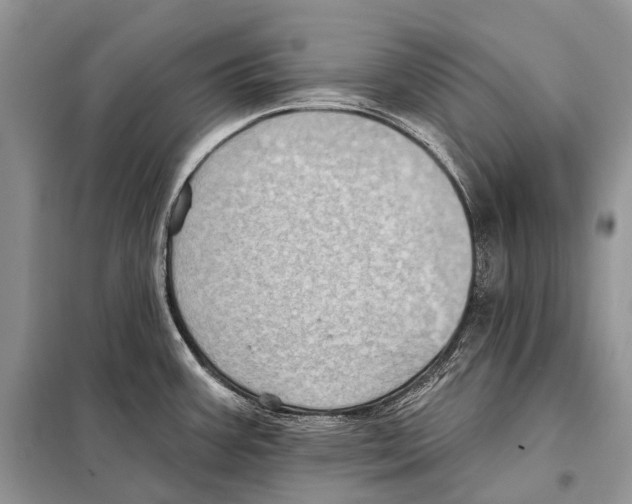 X0000097911387200804111100