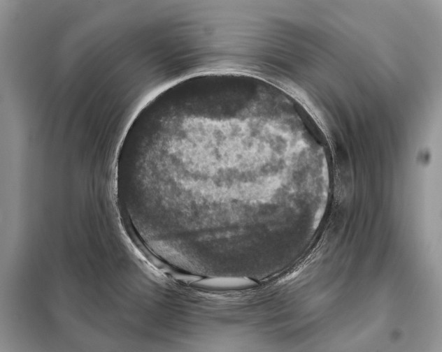 X0000097911388200804111100