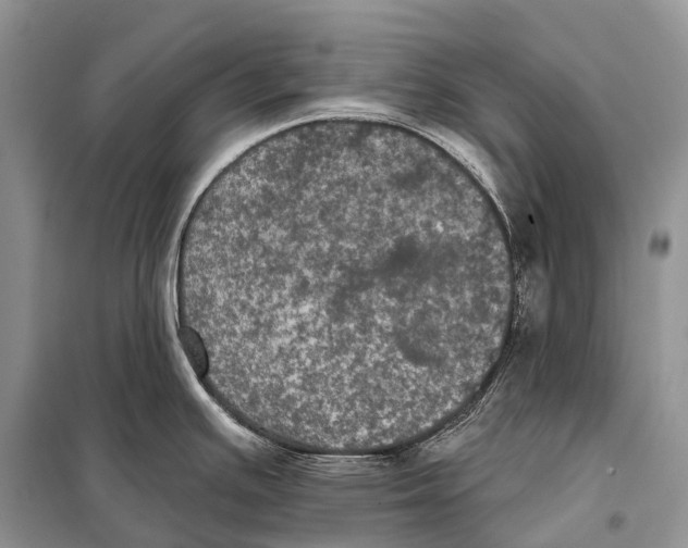 X0000097911391200804111100