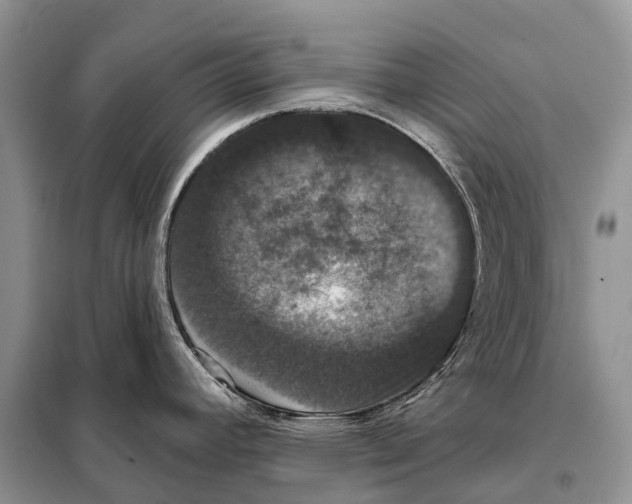 X0000097911392200804111100