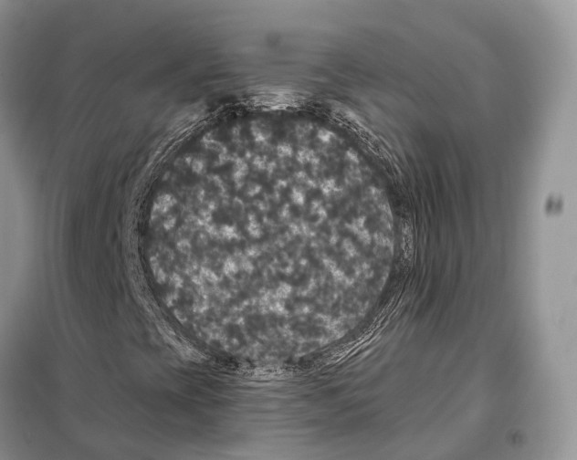 X0000097911393200804111059