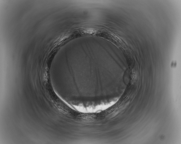 X0000097911394200804111059