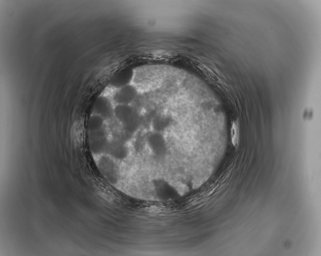 X0000097911395200804111059