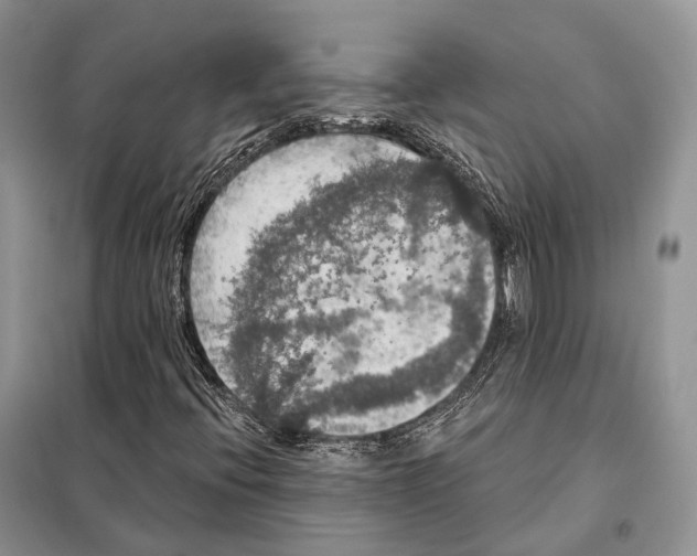 X0000097911396200804111059