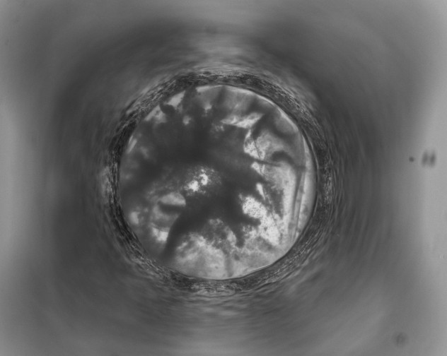 X0000097911397200804111059