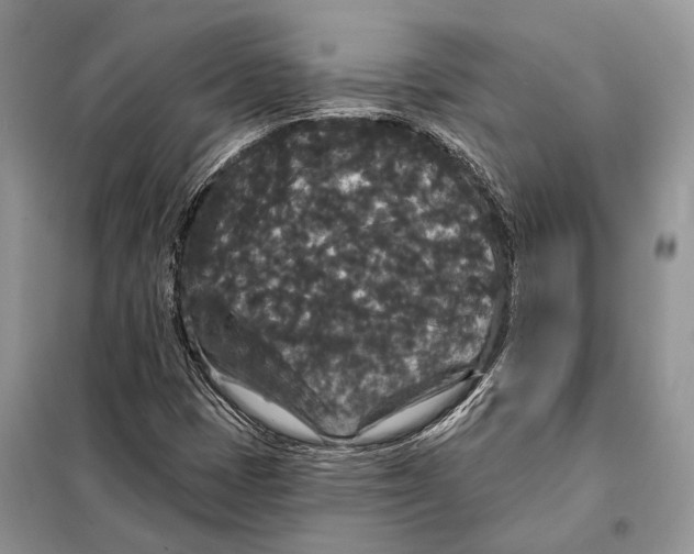 X0000097911401200804111059