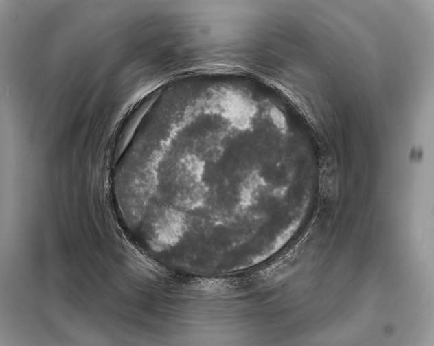 X0000097911402200804111059