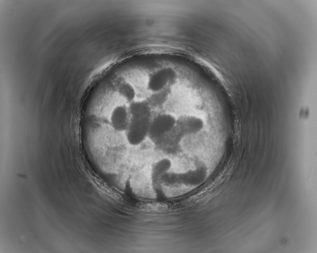 X0000097911403200804111059