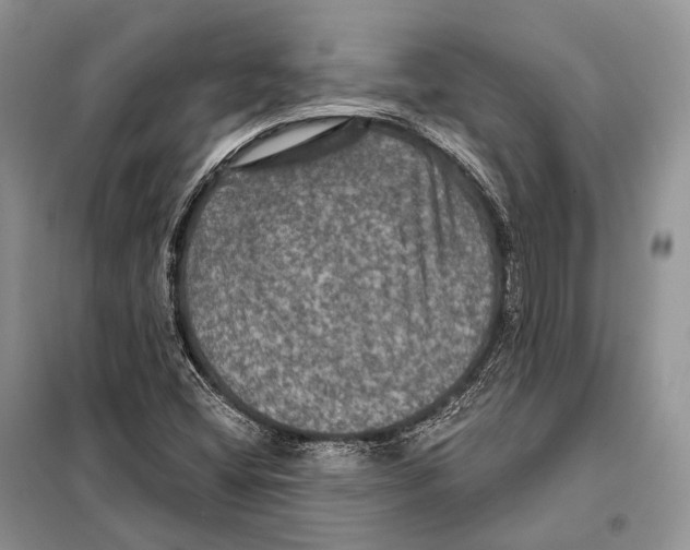 X0000097911404200804111059