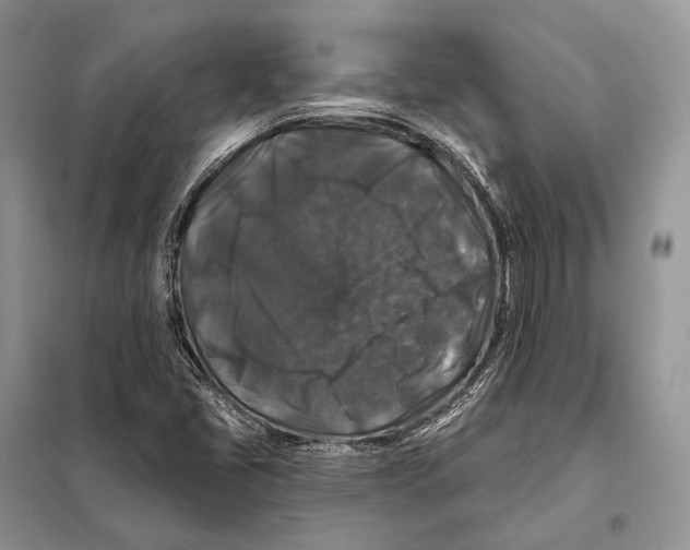 X0000097911405200804111059