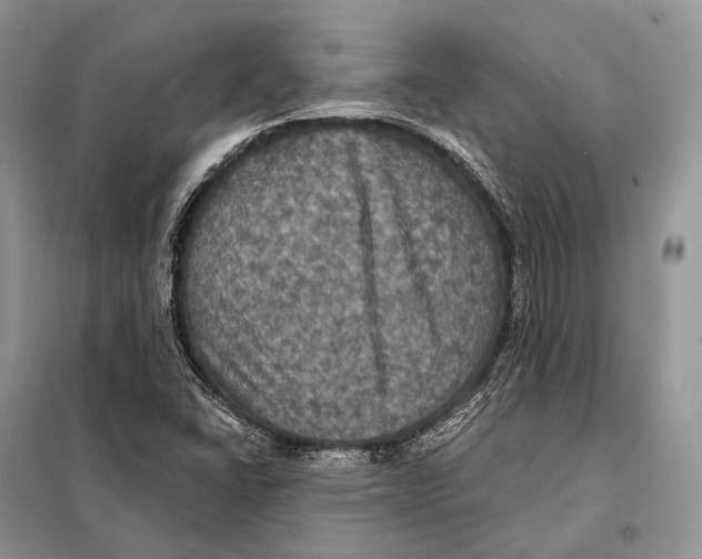 X0000097911406200804111059