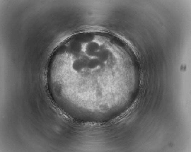 X0000097911407200804111059