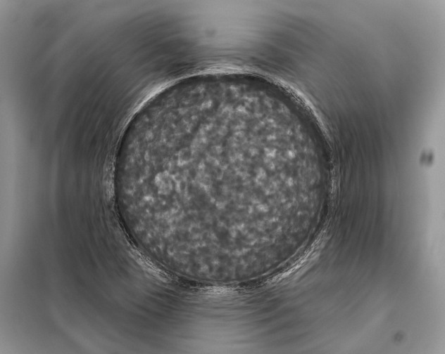 X0000097911409200804111059