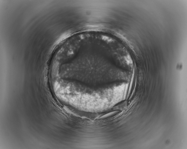 X0000097911411200804111059