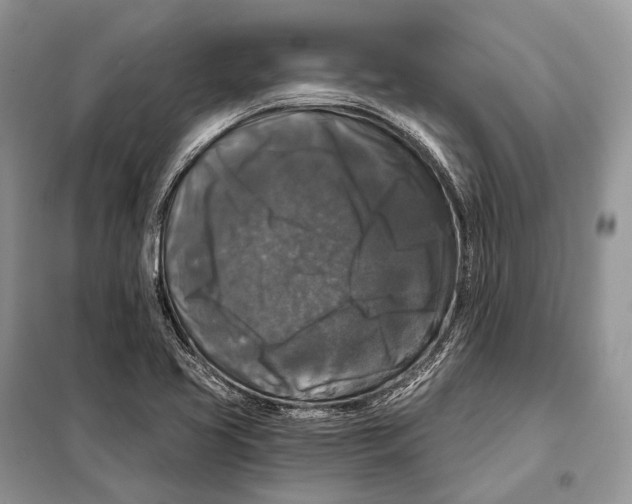 X0000097911413200804111059