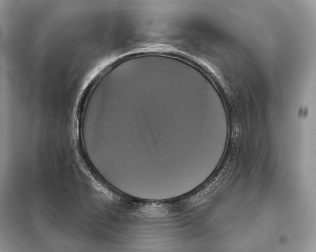 X0000097911414200804111100