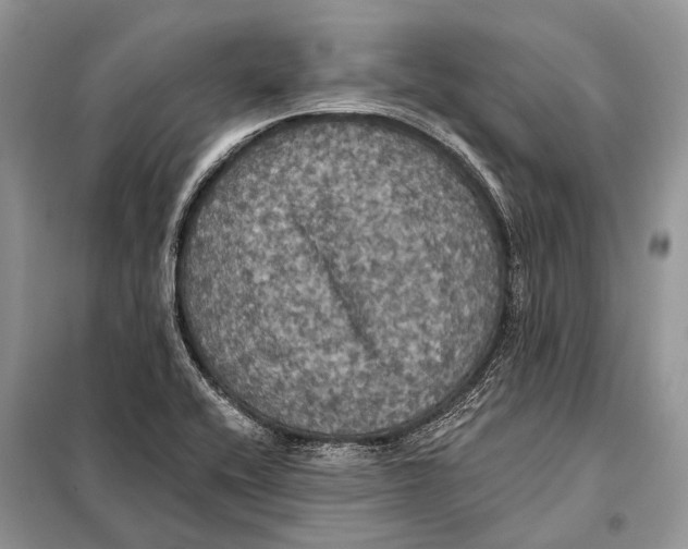 X0000097911416200804111100