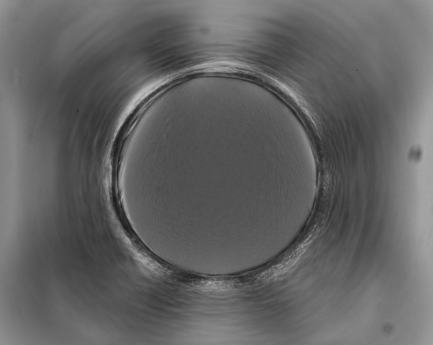 X0000097911418200804111100