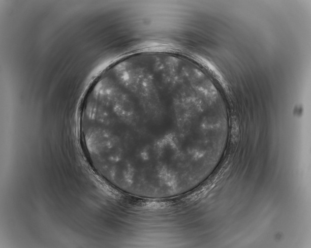 X0000097911419200804111100