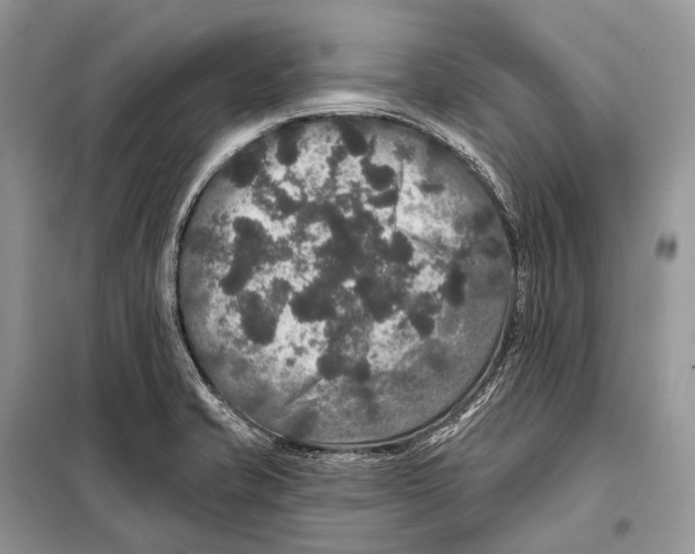 X0000097911421200804111100