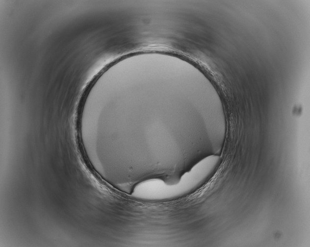 X0000097911422200804111100