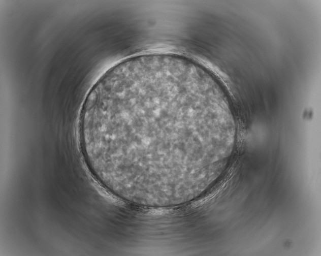 X0000097911423200804111100