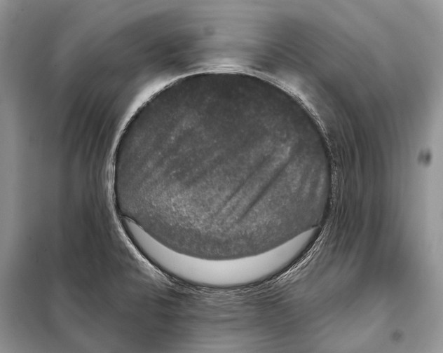 X0000097911424200804111100