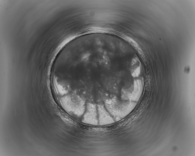 X0000097911427200804111100