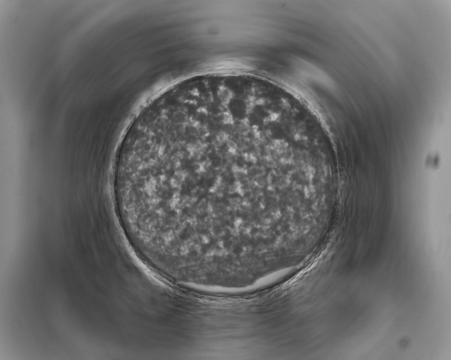 X0000097911429200804111100