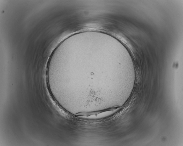 X0000097911431200804111100