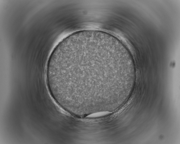 X0000097911432200804111100