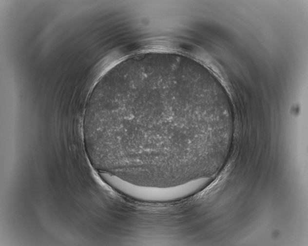 X0000097911433200804111100