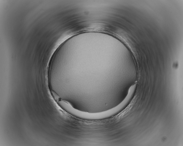 X0000097911434200804111100