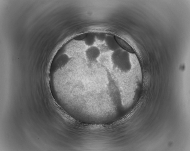 X0000097911435200804111100