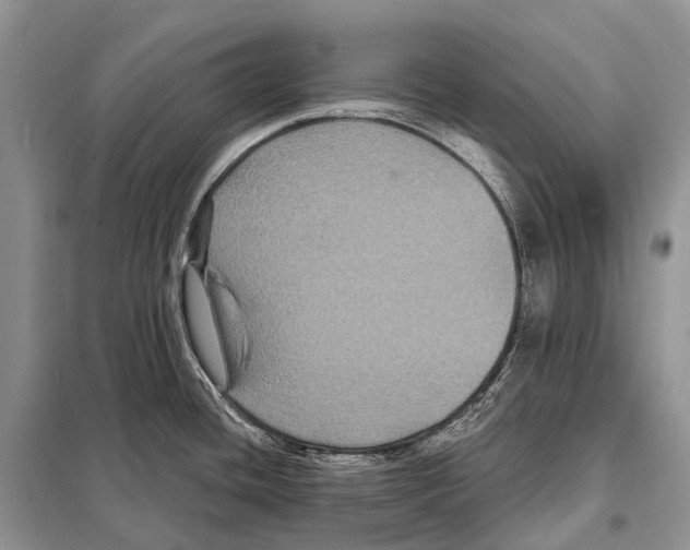 X0000097911436200804111100