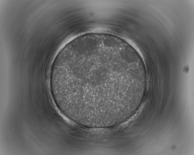 X0000097911437200804111100