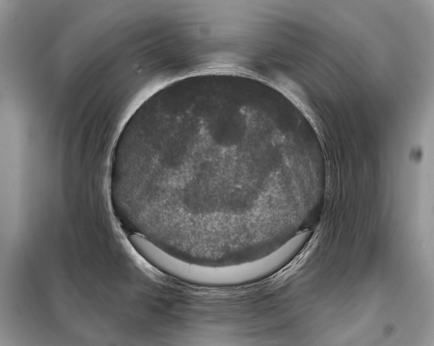 X0000097911438200804111100