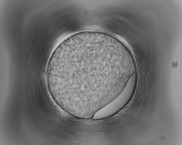 X0000097911440200804111100